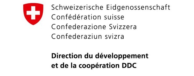 DDC_LogoGr